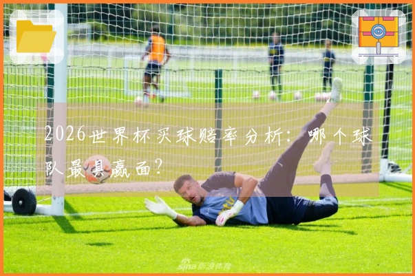 2026世界杯买球赔率分析：哪个球队最具赢面？