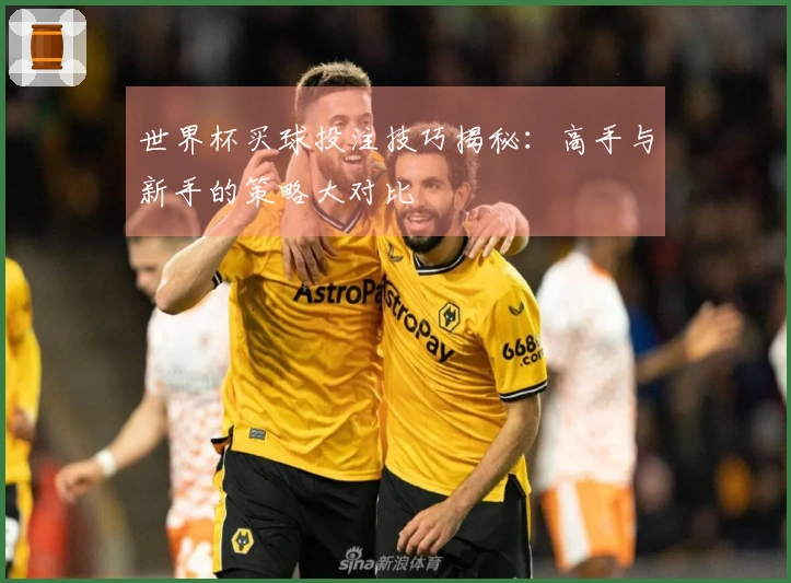 世界杯买球投注技巧揭秘：高手与新手的策略大对比
