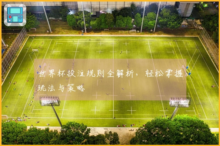 世界杯投注规则全解析，轻松掌握玩法与策略