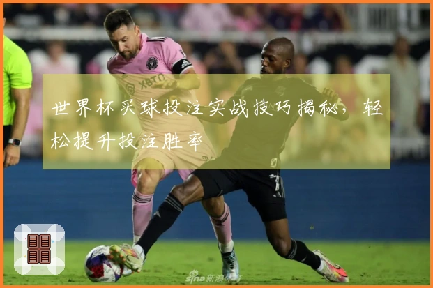 世界杯买球投注实战技巧揭秘，轻松提升投注胜率
