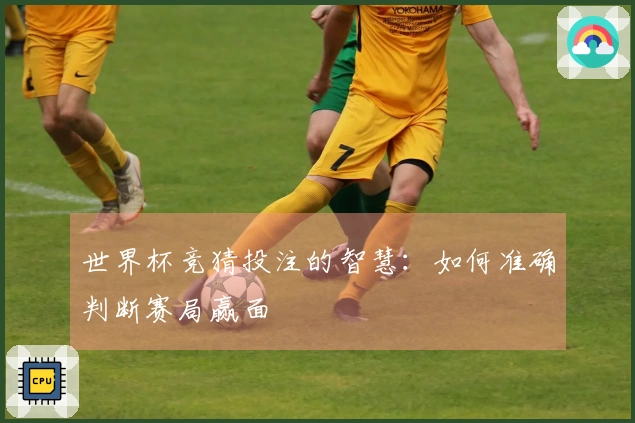 世界杯竞猜投注的智慧：如何准确判断赛局赢面