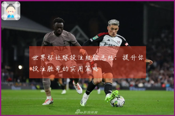 世界杯让球投注经验总结：提升你投注胜率的实用策略