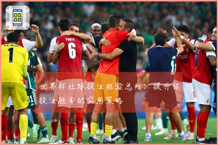 世界杯让球投注经验总结：提升你投注胜率的实用策略
